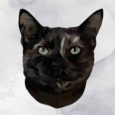KittyNook Digital Pet Portrait Digital Artwork KittyNook Cat Company Headshot